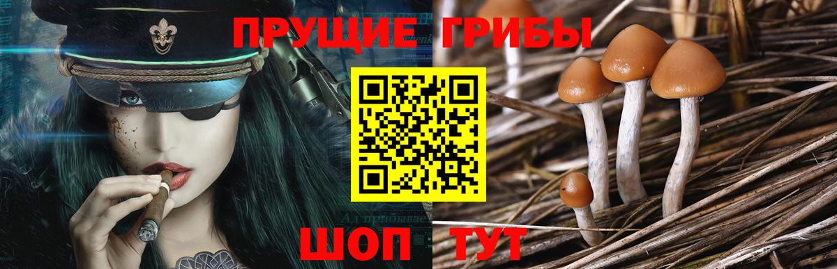 Галлюциногенные грибы мухоморы Камышин